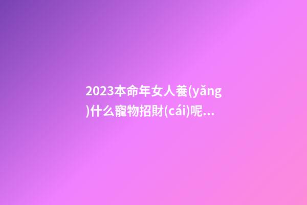 2023本命年女人養(yǎng)什么寵物招財(cái)呢 貓咪和小狗